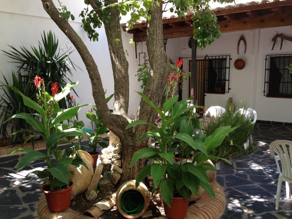 Casa Rural El Rincon Del Infante Villa de Don Fadrique Екстериор снимка